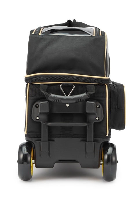 https://www.sunbridge-group.com/kanri/wp-content/uploads/2023/02/05_black_gold-1.jpg