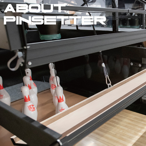 ABOUT PINSETTER