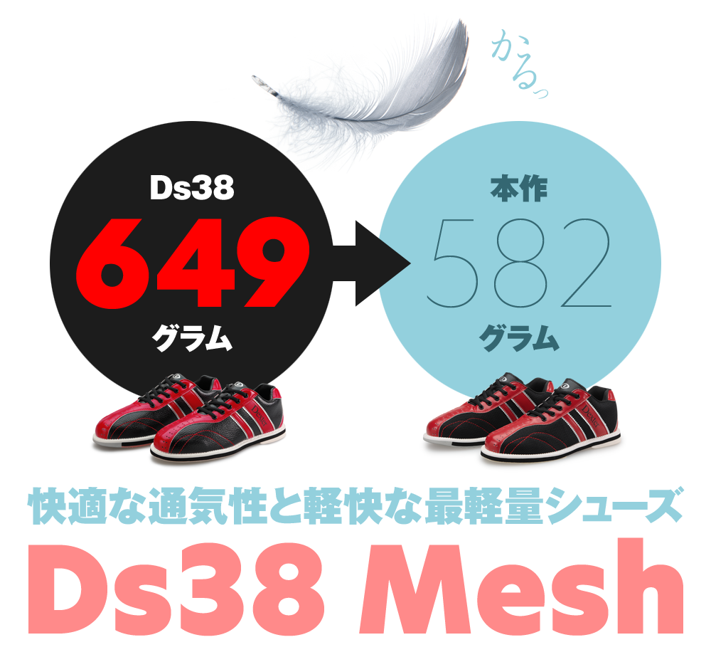 Ds38・メッシュ